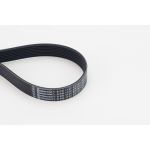Keilrippenriemen Continental CTAM 8PK1122 EXTRA