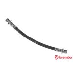Bromsslang BREMBO T 28 099