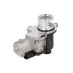 AGR Ventil MAGNETI MARELLI 571822112178
