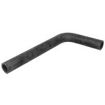 Radiateurslang DT SPARE PARTS 1.00691