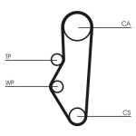 Set di cinghie di distribuzione CONTINENTAL CT525K1