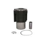 Kit de reparação, revestimento do pistão/cilindro MAHLE 099 41 92