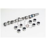 Conjunto da árvore de cames AMC 669851K