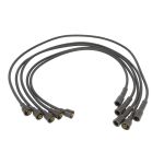 Conjunto de cabos de ignição ENGITECH ENT910103