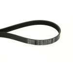 Flerspårsrem Continental CTAM 7PK1038 ELAST