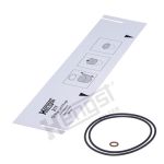 Filtro de aceite HENGST Z17 D625