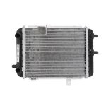 Radiatore, raffreddamento motore NISSENS 60363