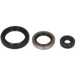 Kit de  joints de moteur WINDEROSA W822143