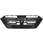 Grille de radiateur BLIC 6502-07-6717994P