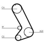 Set di cinghie di distribuzione CONTINENTAL CT773K1