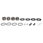 Reparatieset, remklauw AUTOFREN SEINSA D43741C