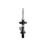 Stoßdämpfer ARNOTT EUROPE MR-5091