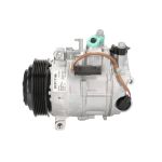 Klimakompressor DENSO DCP17166