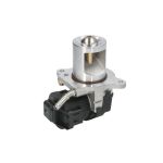 AGR Ventil BORG WARNER 710095D