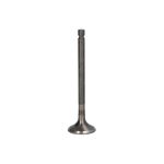 Auslassventil FRECCIA R6610/RNT