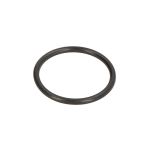 Getriebe O-Ring ZF 0634306200ZF