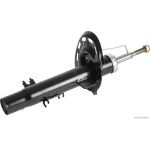 Amortisseur HERTH+BUSS ELPARTS J4310878