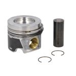 Pistón MAHLE 028 PI 00116 002
