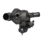 Thermostat d'eau THERMOTEC D2G024TT