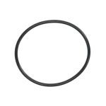 O-ring bomba de combustível PARSUN JASO-F404-31-068