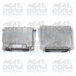 Piezas de faro MEAT & DORIA MD73212660