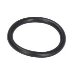 Sockel O-Ring PARSUN JASO-F404-24-021