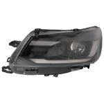 Fanali MAGNETI MARELLI 711451043797