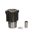 Kit de réparation, piston/chemise de cylindre KOLBENSCHMIDT 93315960