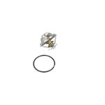 Thermostat NRF 725063