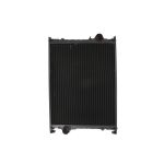 Radiateur, refroidissement moteur THERMOTEC D7AG035TT