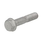 Bevestigingsbout, wieldraagarm HANS PRIES 702 846