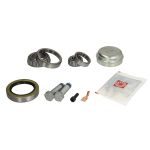 Radlagersatz Schaeffler FAG 713 6674 50