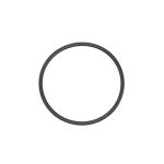O-ring, caixa de velocidades ZF 0634313933ZF