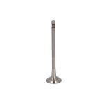 Auslassventil TRW Engine Components 539025
