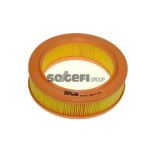 Filtro de aire PURFLUX A194