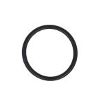 Sensor O-Ring PARSUN F40-05090503-1EFI