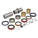 Kit de reparación, pivote LEMA 315