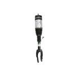 Regelaar, niveauregeling ARNOTT EUROPE AS-3324 links