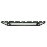 Grille de radiateur BLIC 6502-07-6901990SP