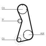 Kit de correa de distribución CONTINENTAL CT869K1