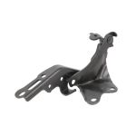 Motorhaubenteile BLIC 6802-00-8171453P
