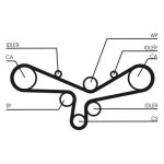 Set di cinghie di distribuzione CONTINENTAL CT920K5