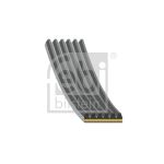 Keilrippenriemen FEBI BILSTEIN 185841