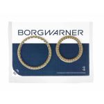 Disque de garniture, embrayage à disques (boîte automatique) BORG WARNER 203536
