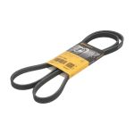 Keilrippenriemen Continental CTAM 4PK1560