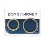 Disque de garniture, embrayage à disques (boîte automatique) BORG WARNER 203535