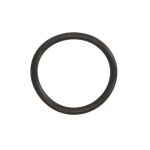 Dichtung des Motorblocks FP DIESEL 2941712-FP