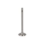 Soupape d'admission TRW 331133