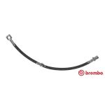 Flexible de frein BREMBO T 59 057