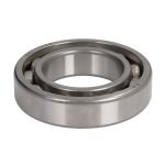 Rolamento do casquilho PARSUN 6007-P5C4